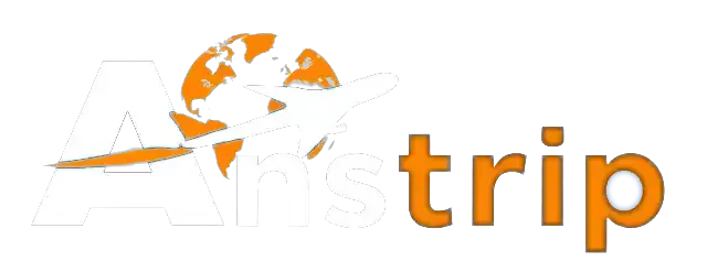 Website Logo