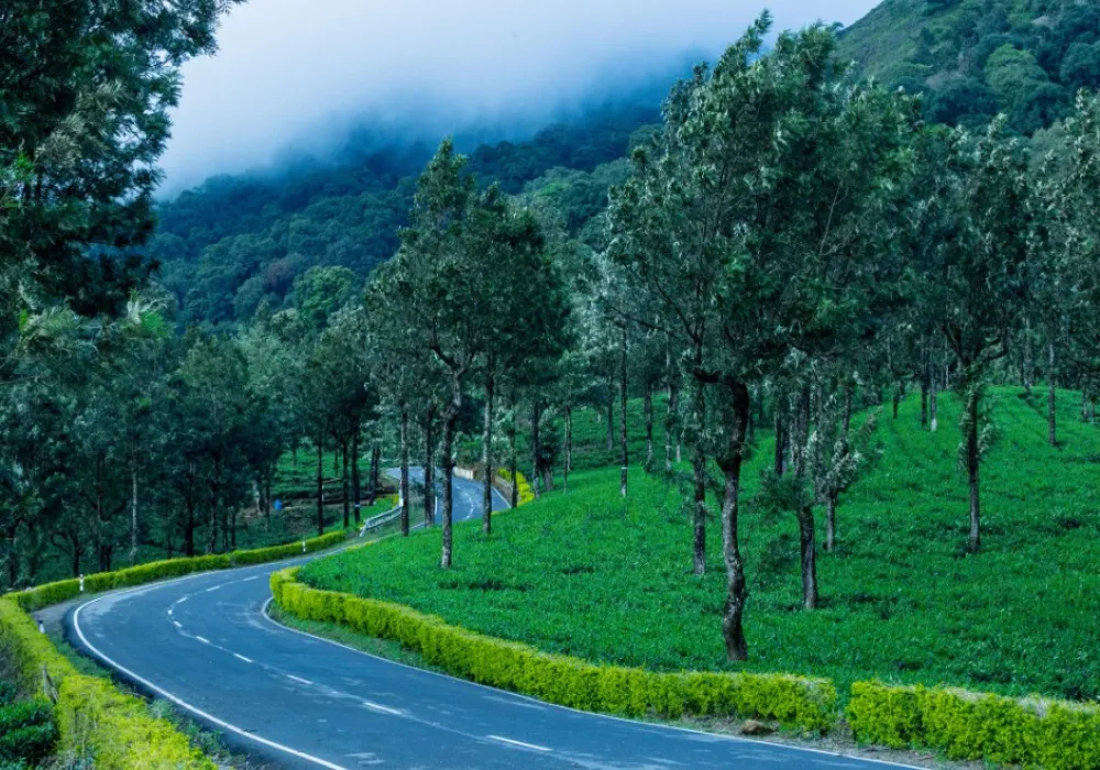 South India Tour – 5 Days Itinerary